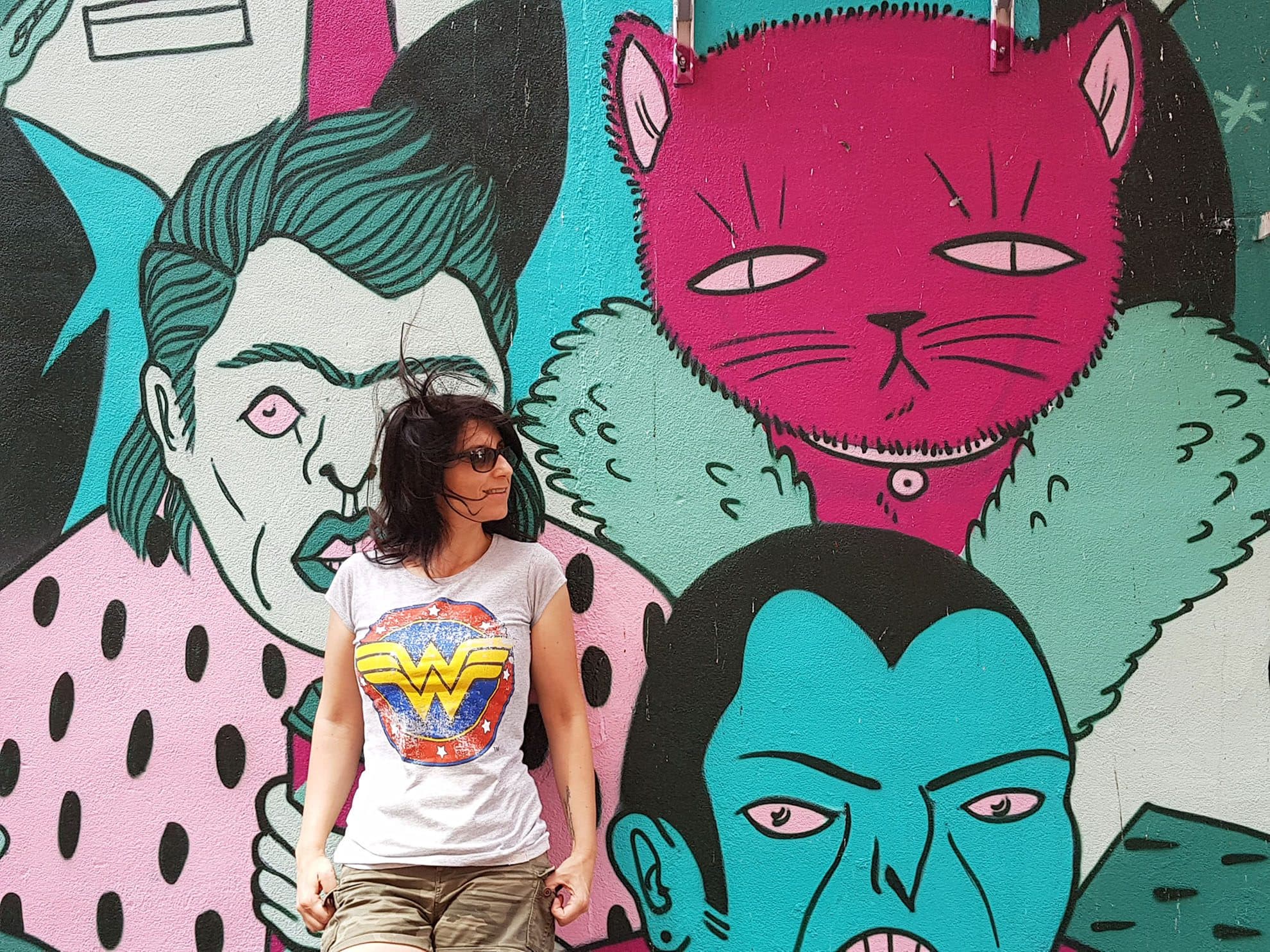 Cosa vedere a Montreal: guida completa alla mia città preferita del Canada 8 Plateau Mont Royal street art Montreal