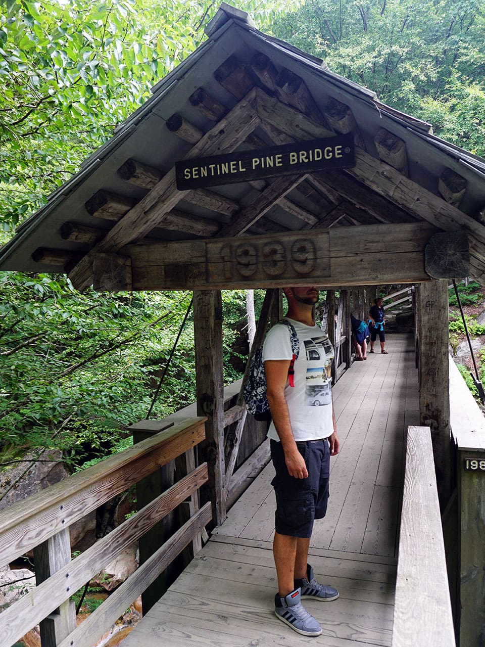 White Mountains: visitare il Flume Gorge nel Franconia Notch State Park - New Hampshire 9 visitare il Flume Gorge White Mountains Sentinel Pine Bridge