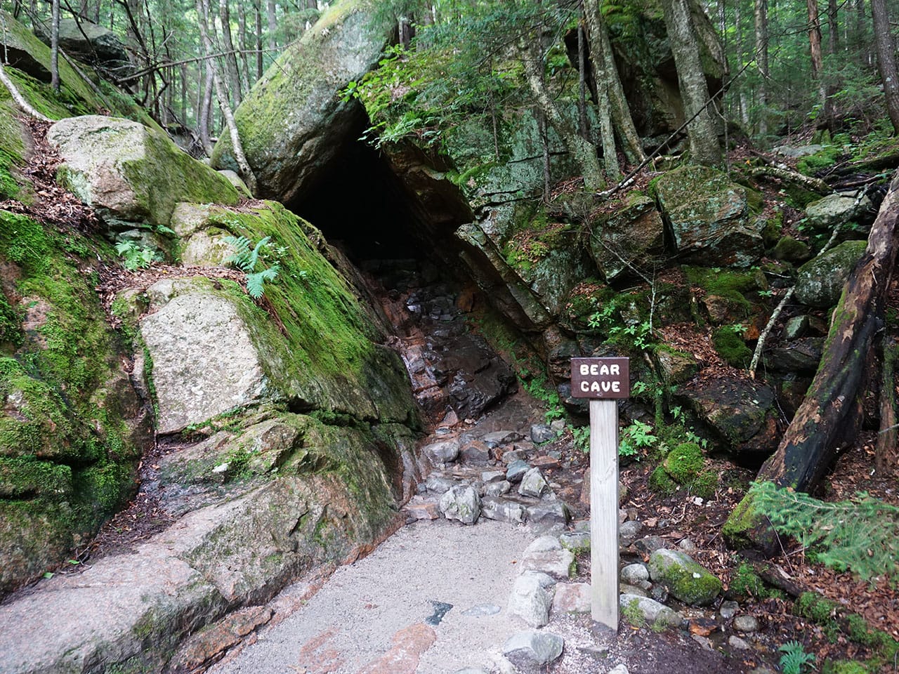 White Mountains: visitare il Flume Gorge nel Franconia Notch State Park - New Hampshire 6 visitare il Flume Gorge White Mountains tana orso