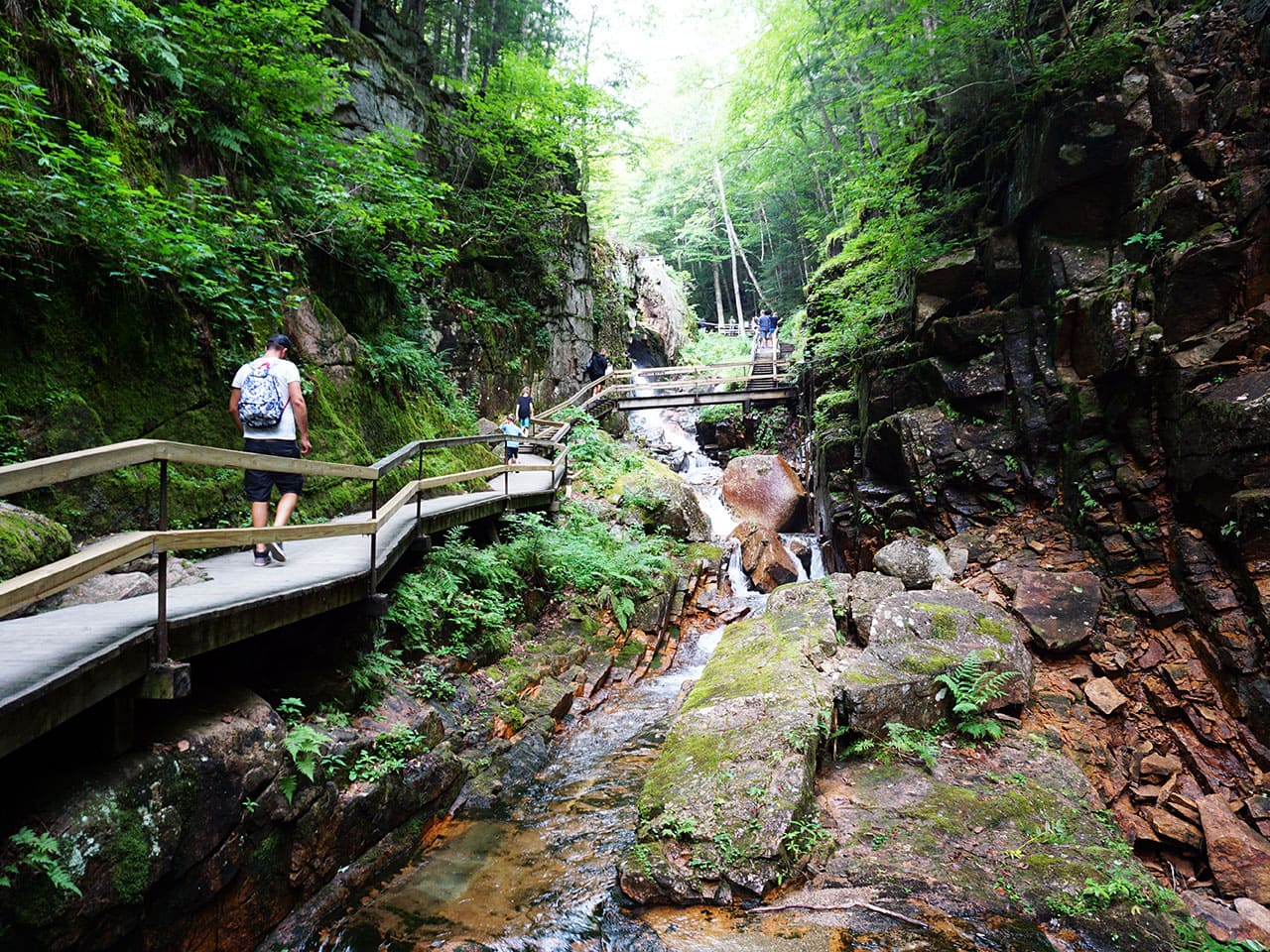 White Mountains: visitare il Flume Gorge nel Franconia Notch State Park - New Hampshire 7 visitare il Flume Gorge White Mountains gola