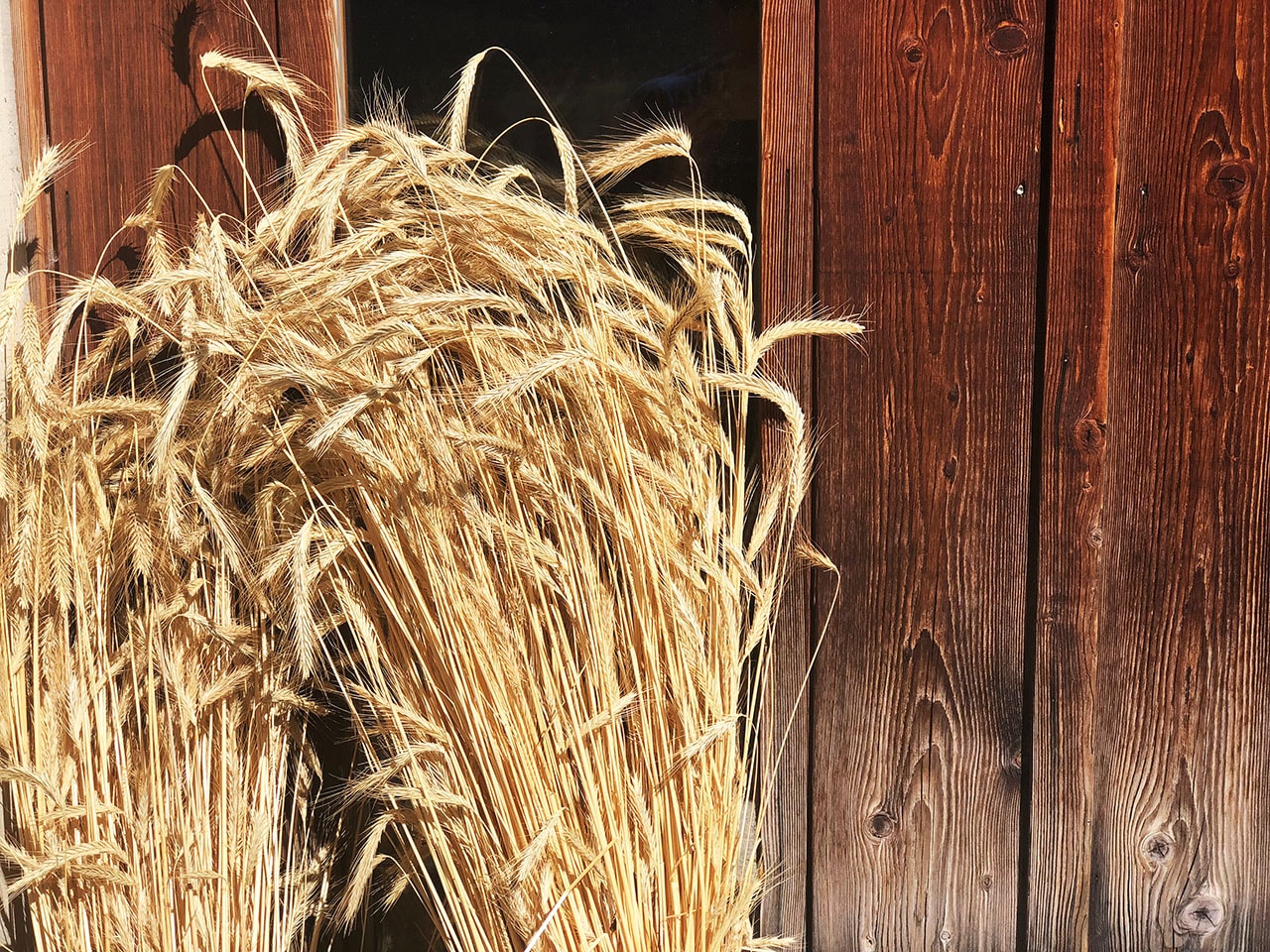 Erschmatt Vallese: come fare il pane di segale 1 come fare il pane di segale