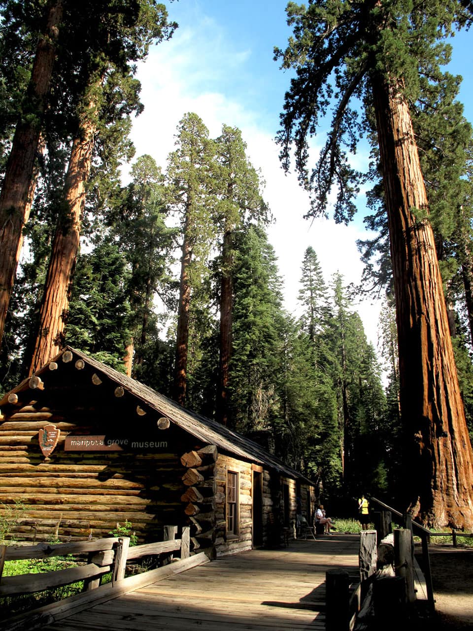 Dove vedere le sequoie giganti in California: il bosco di Mariposa Grove 7 Museo delle sequoie giganti in California