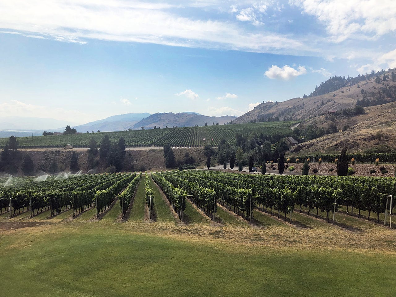 Okanagan Valley: wine tasting in Canada tra le vigne della British Columbia 3 Okanagan Valley terrazzamenti vigne