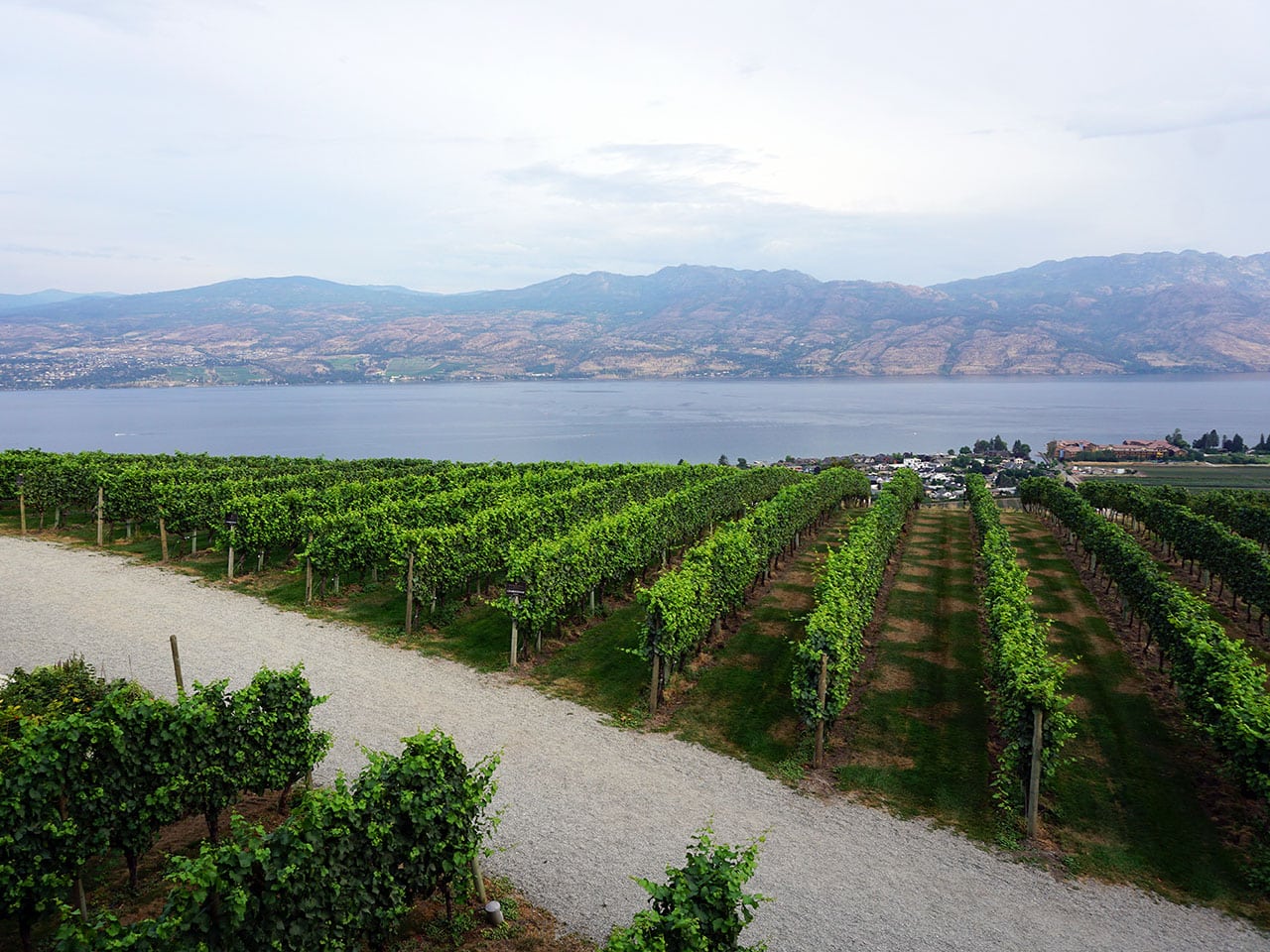 Okanagan Valley: wine tasting in Canada tra le vigne della British Columbia 21 Panorama Okanagan Valley Mission Hill