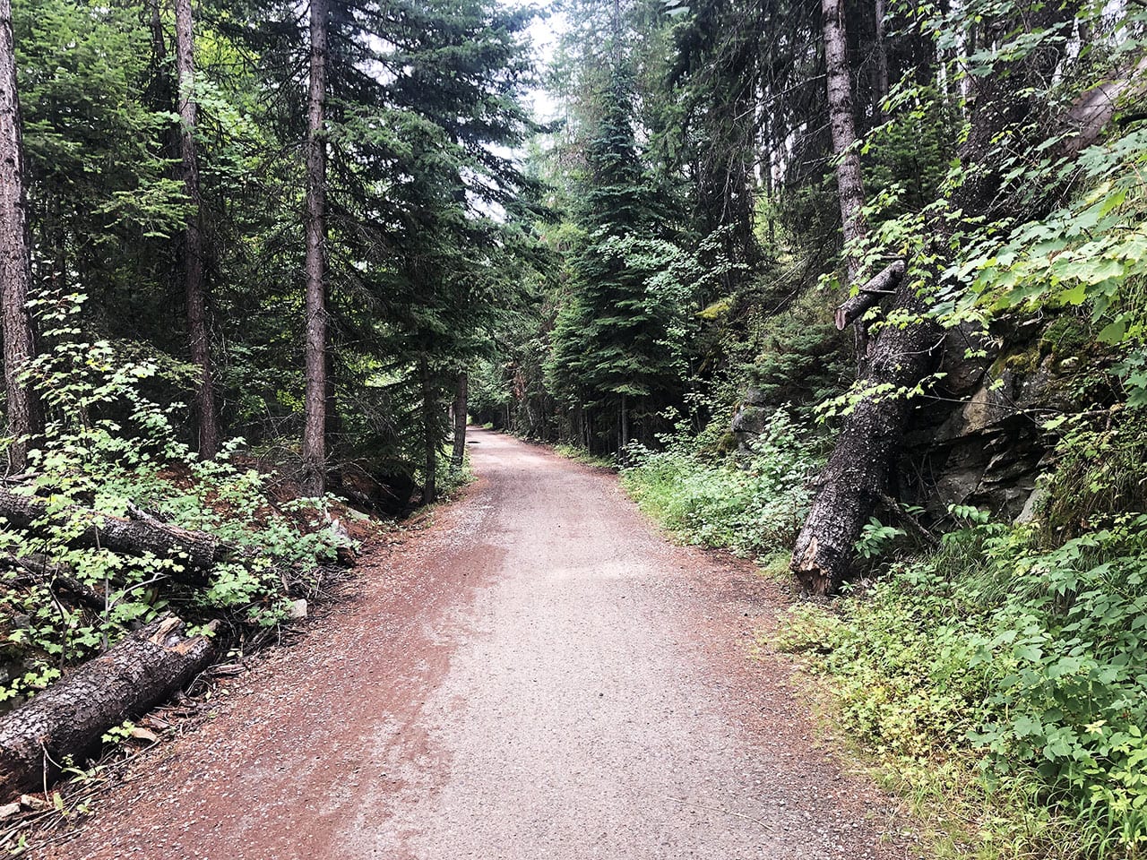 Myra Canyon Kelowna: escursione in bicicletta lungo una vecchia ferrovia in Canada 6 Itinerario in bicicletta Canada