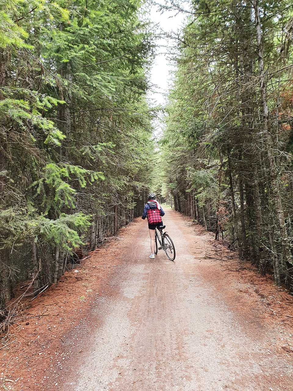 Myra Canyon Kelowna: escursione in bicicletta lungo una vecchia ferrovia in Canada 15 Myra Canyon Kelowna in bicicletta nel bosco