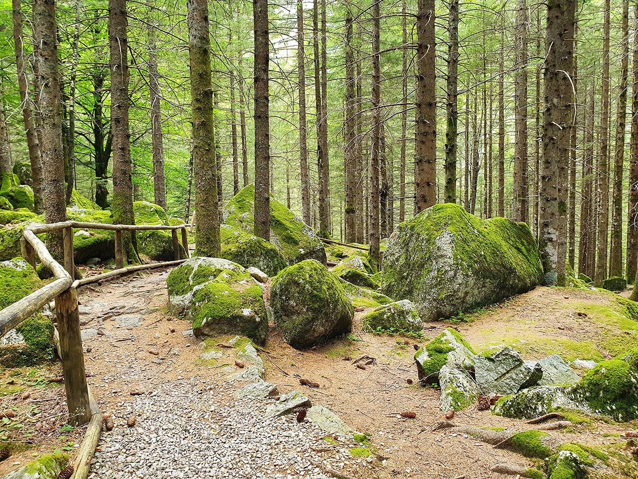 Cosa fare in Val Masino: itinerario tra cibo natura e paesaggi mozzafiato in Valtellina 29 Sentiero Bagni di Masino