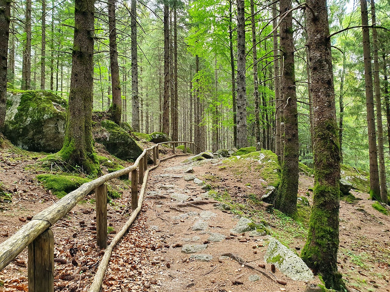Cosa fare in Val Masino: itinerario tra cibo natura e paesaggi mozzafiato in Valtellina 26 Trail Bagni di Masino