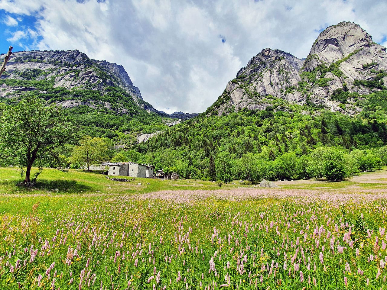 Cosa fare in Val Masino: itinerario tra cibo natura e paesaggi mozzafiato in Valtellina 1 Cosa fare in Val Masino Valtellina