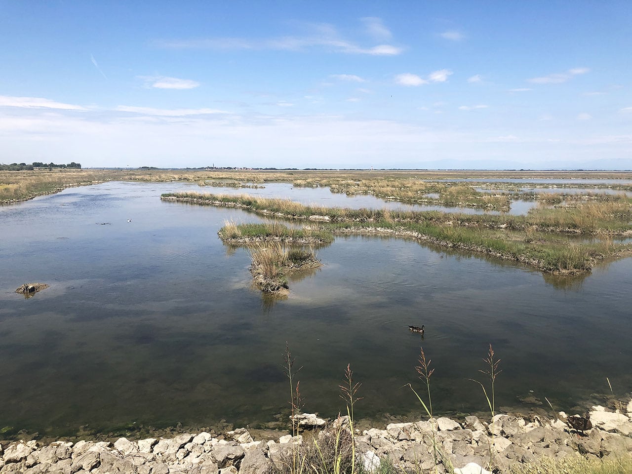 Airstream Park Venezia: glamping al mare, dormire in un Airstream americana vicino al mare 22 Laguna veneta Cavallino Treporti