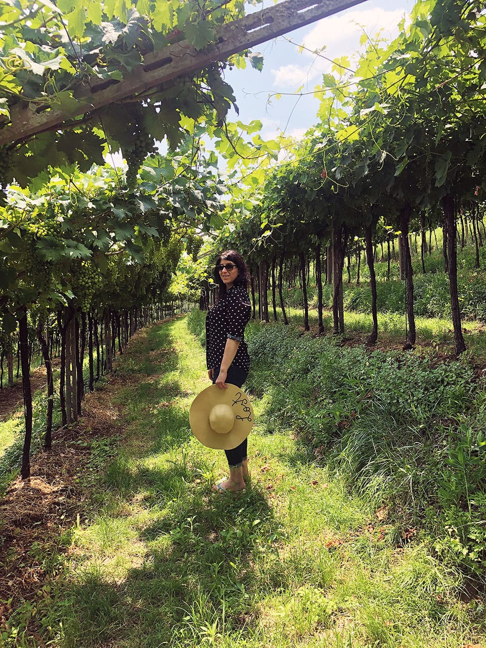 Dormire in Valpolicella: fuga romantica tra le vigne a Pianaura Suites 2 Le Vigne della Valpolicella