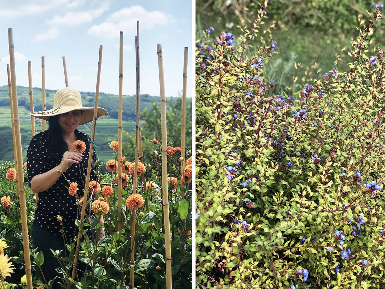 Dormire in Valpolicella: fuga romantica tra le vigne a Pianaura Suites 4 Giardino con fiori