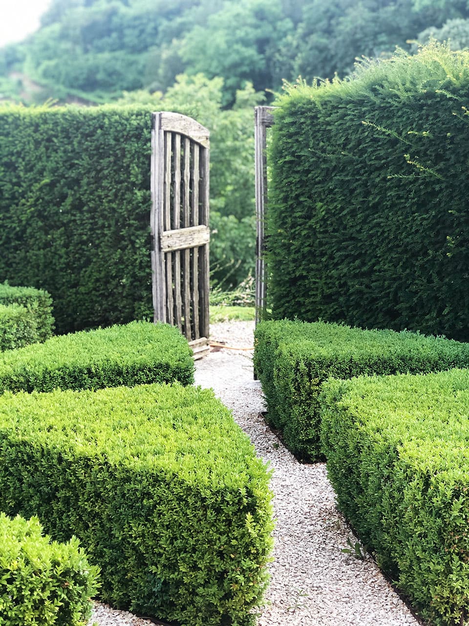 Dormire in Valpolicella: fuga romantica tra le vigne a Pianaura Suites 3 Ingresso bed and breakfast in Valpolicella