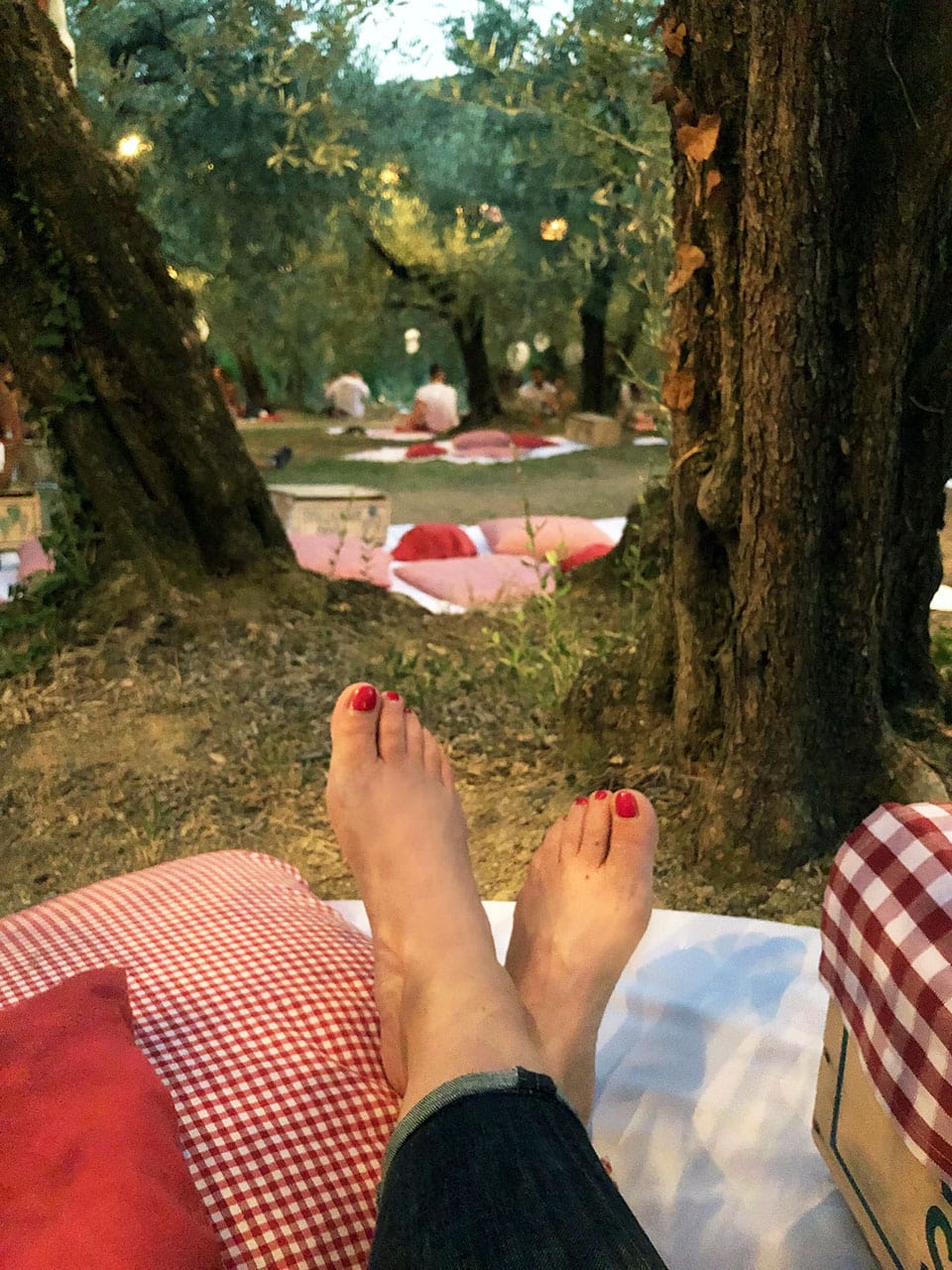 Scamporella Cesena: il picnic tra gli ulivi della Romagna 12 Picnic in Romagna