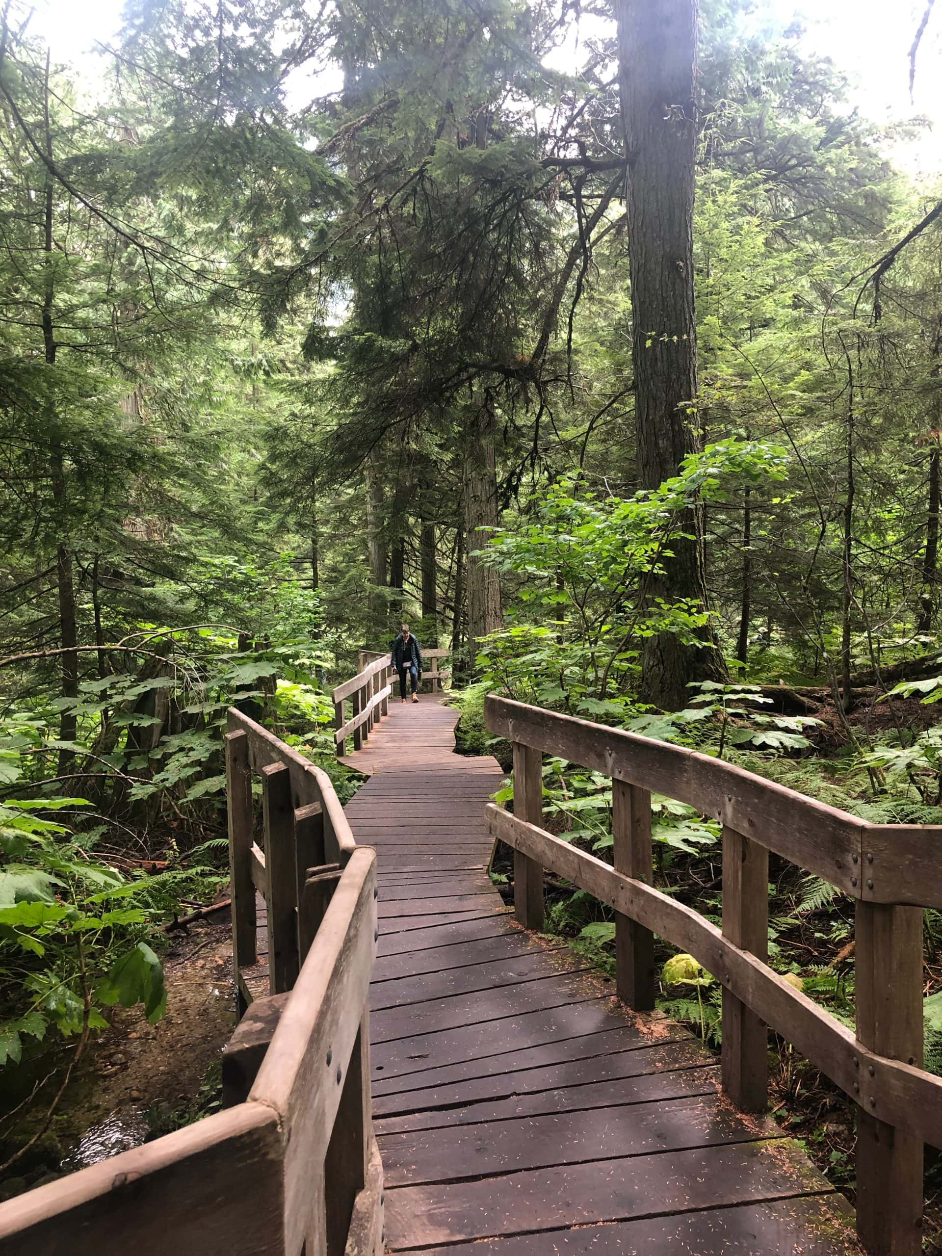 Cosa fare al Mount Revelstoke National Park: Giant Cedar Boardwalk Trail 8 Percorsi in British Columbia Trail facili e veloci