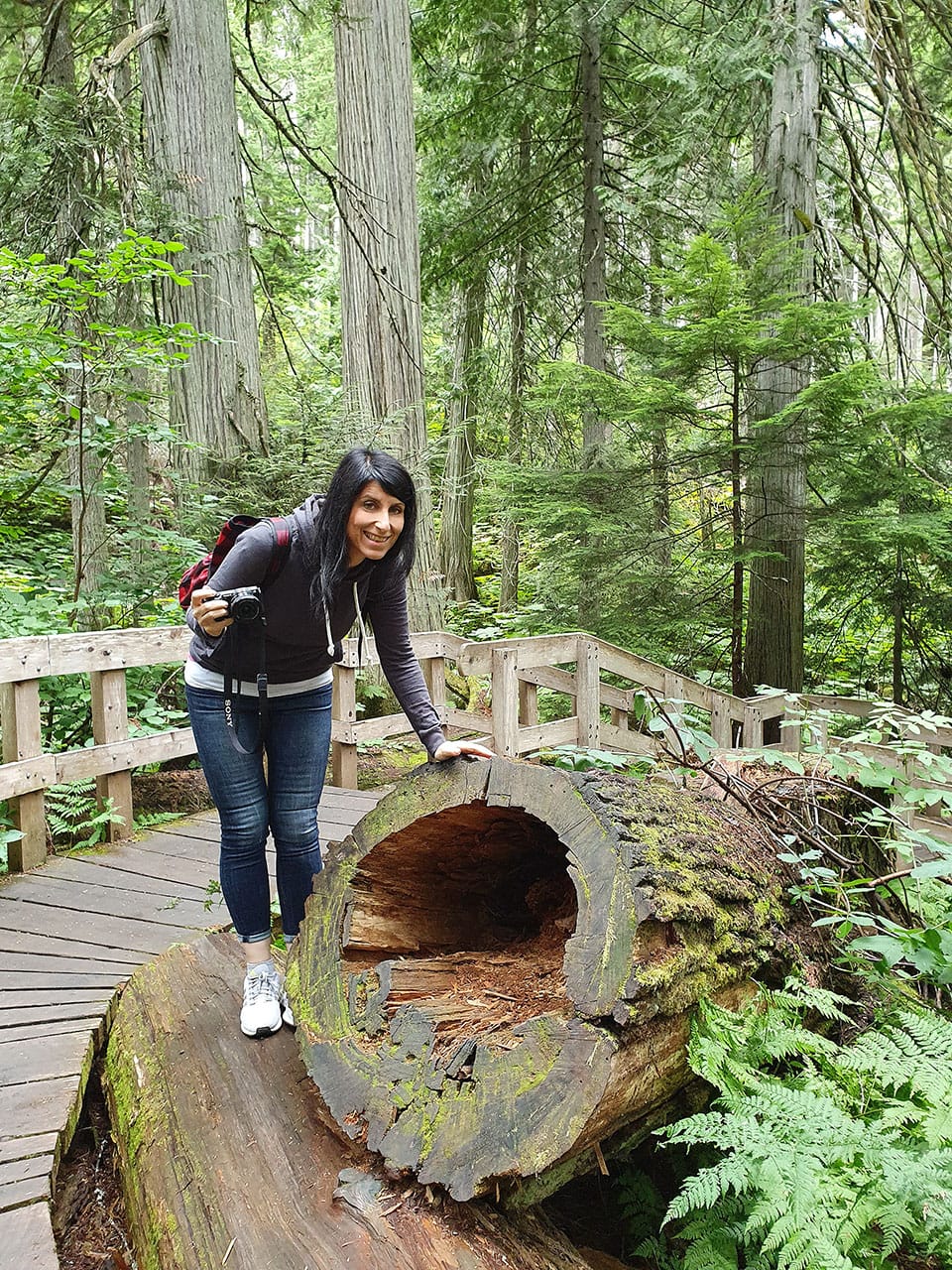 Cosa fare al Mount Revelstoke National Park: Giant Cedar Boardwalk Trail 7 Alberi giganti in Canada