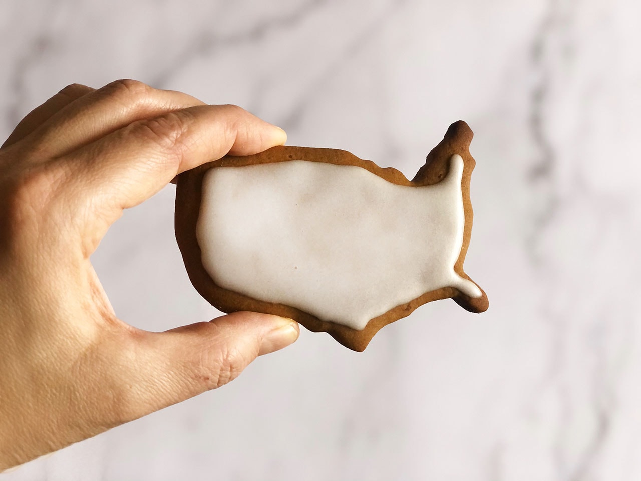 Gingerbread Cookies: la ricetta originale dei biscotti al pan di zenzero 5 Biscotto pan di zenzero Stati Uniti
