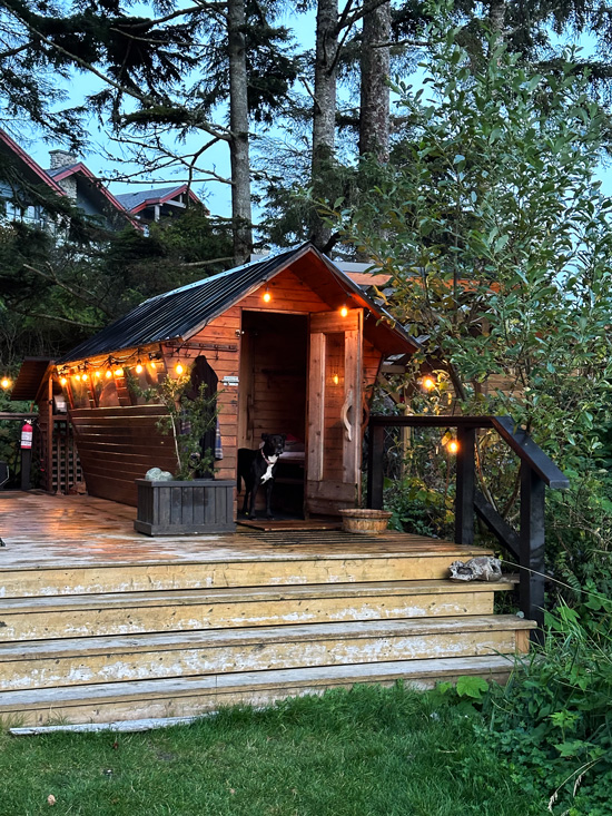 Dove dormire a Tofino: 5 hotel bellissimi sulla spiaggia 34 Sauna a Tofino