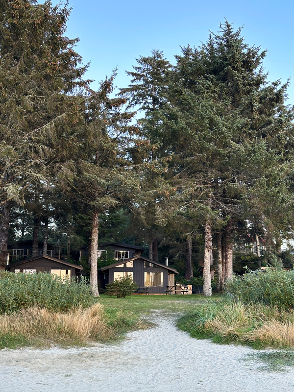 Dove dormire a Tofino: 5 hotel bellissimi sulla spiaggia 33 Cabin sulla spiaggia Tofino