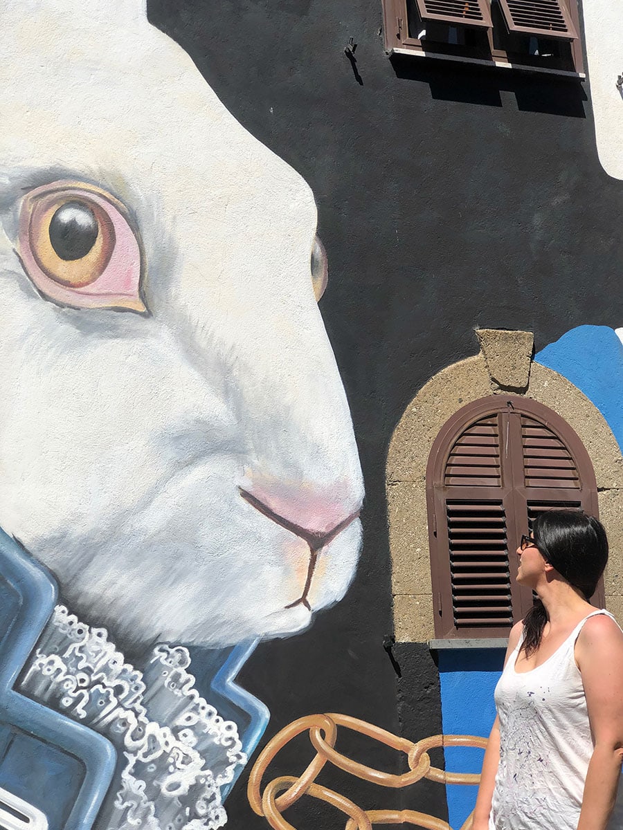 Visitare Sant’Angelo il paese delle fiabe 17 Murales bianconiglio Alice