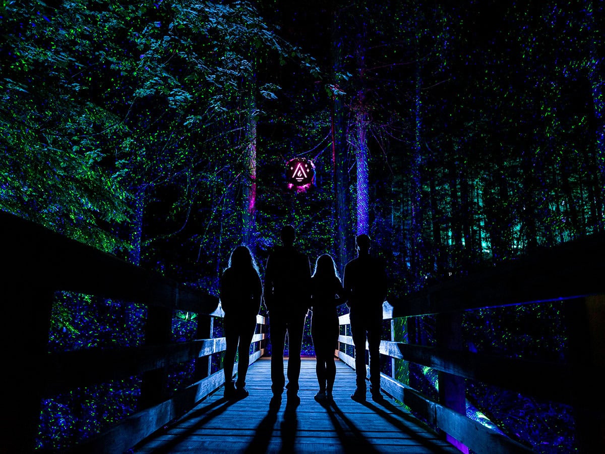 Cosa fare a Whistler, Canada: guida completa 13 Spettacolo luci foresta Canada