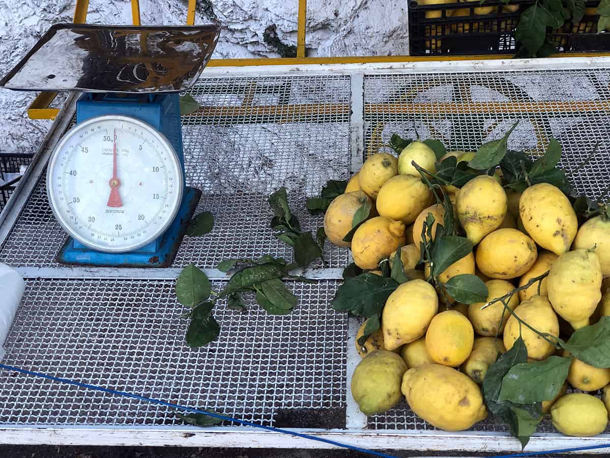 Costiera Amalfitana cosa vedere in una settimana: itinerario e consigli 21 Limoni Costiera Amalfitana