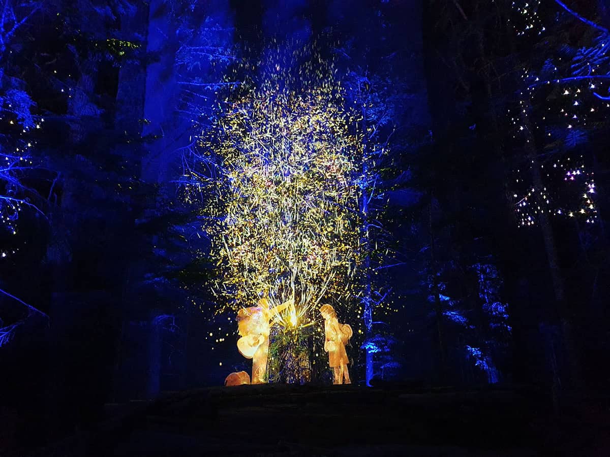 Cosa fare a Whistler, Canada: guida completa 12 Vallea Lumina Whistler