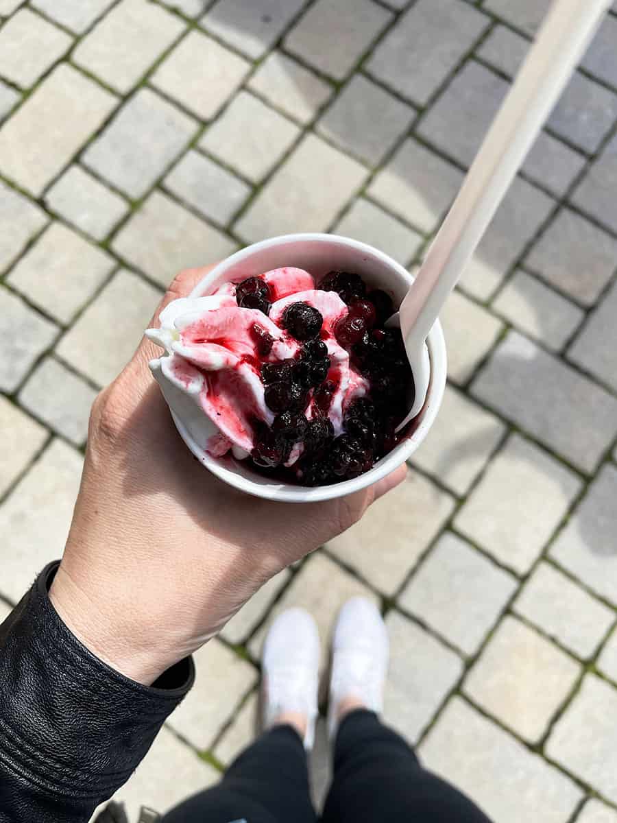 Valsassina cosa vedere: 8 cose da fare in montagna vicino Milano 39 yogurt naturale e bio