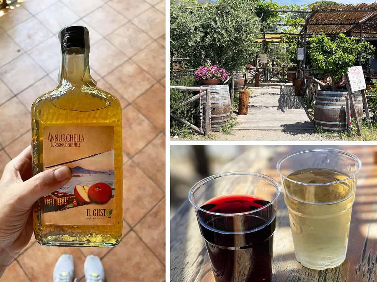 Cosa vedere a Napoli in due giorni: la guida completa 61 Mangiare vicino al Nesuvio Napoli