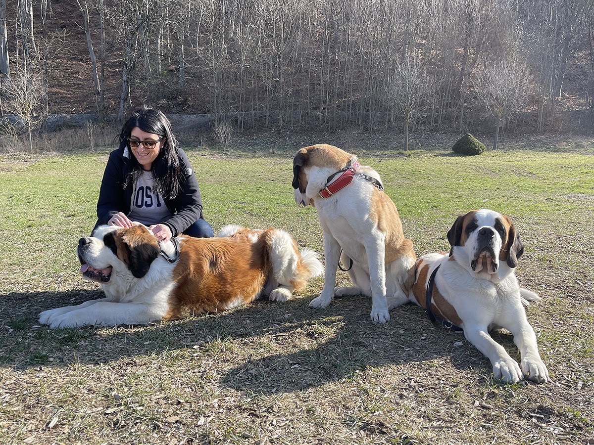 Dove vedere i cani San Bernardo in Svizzera: Barryland a Martigny 29 Martigny cani San Bernardo
