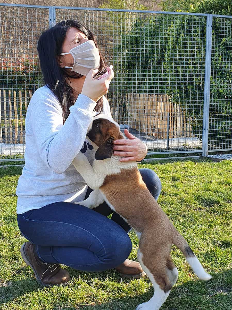 Dove vedere i cani San Bernardo in Svizzera: Barryland a Martigny 34 Dove vedere i cani San Bernardo in Svizzera: Barryland a Martigny 18