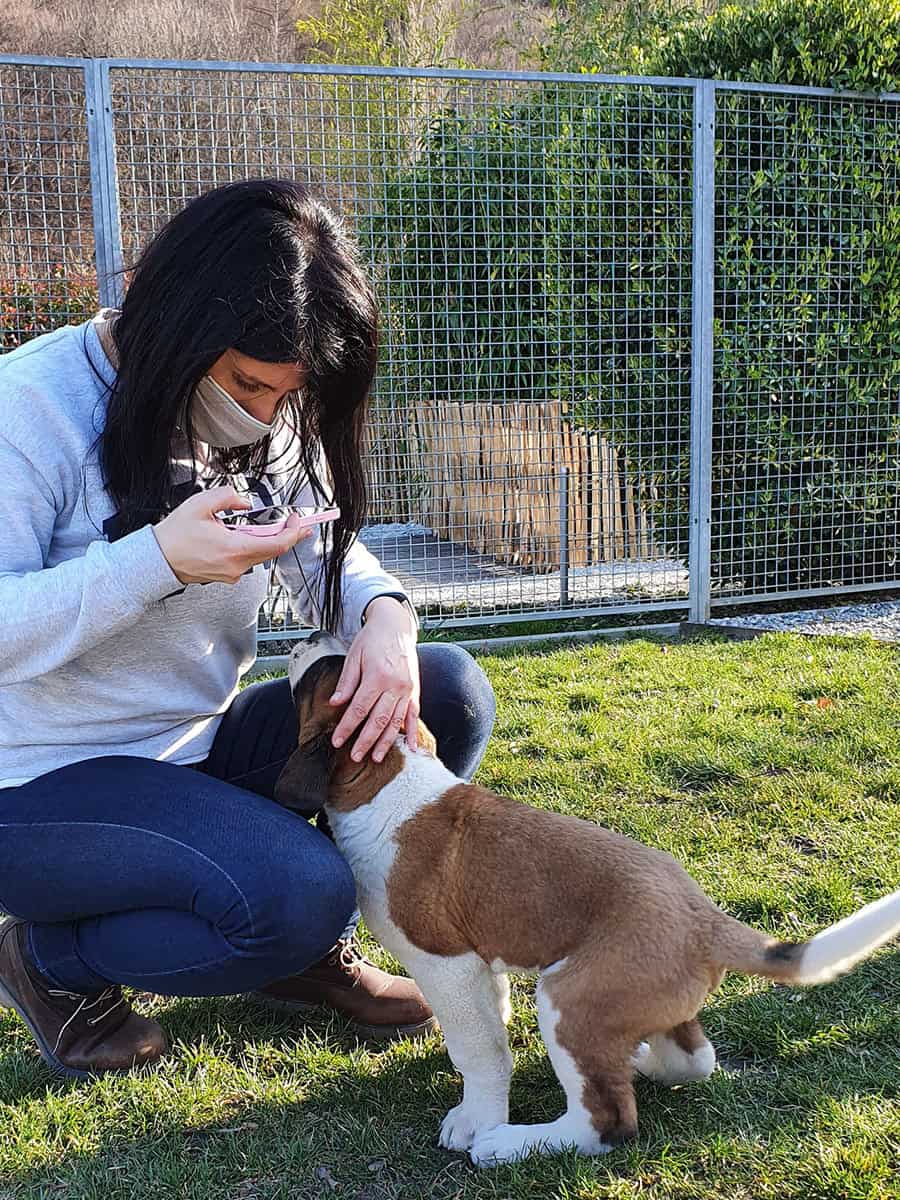 Dove vedere i cani San Bernardo in Svizzera: Barryland a Martigny 33 Dove vedere i cani San Bernardo in Svizzera: Barryland a Martigny 17