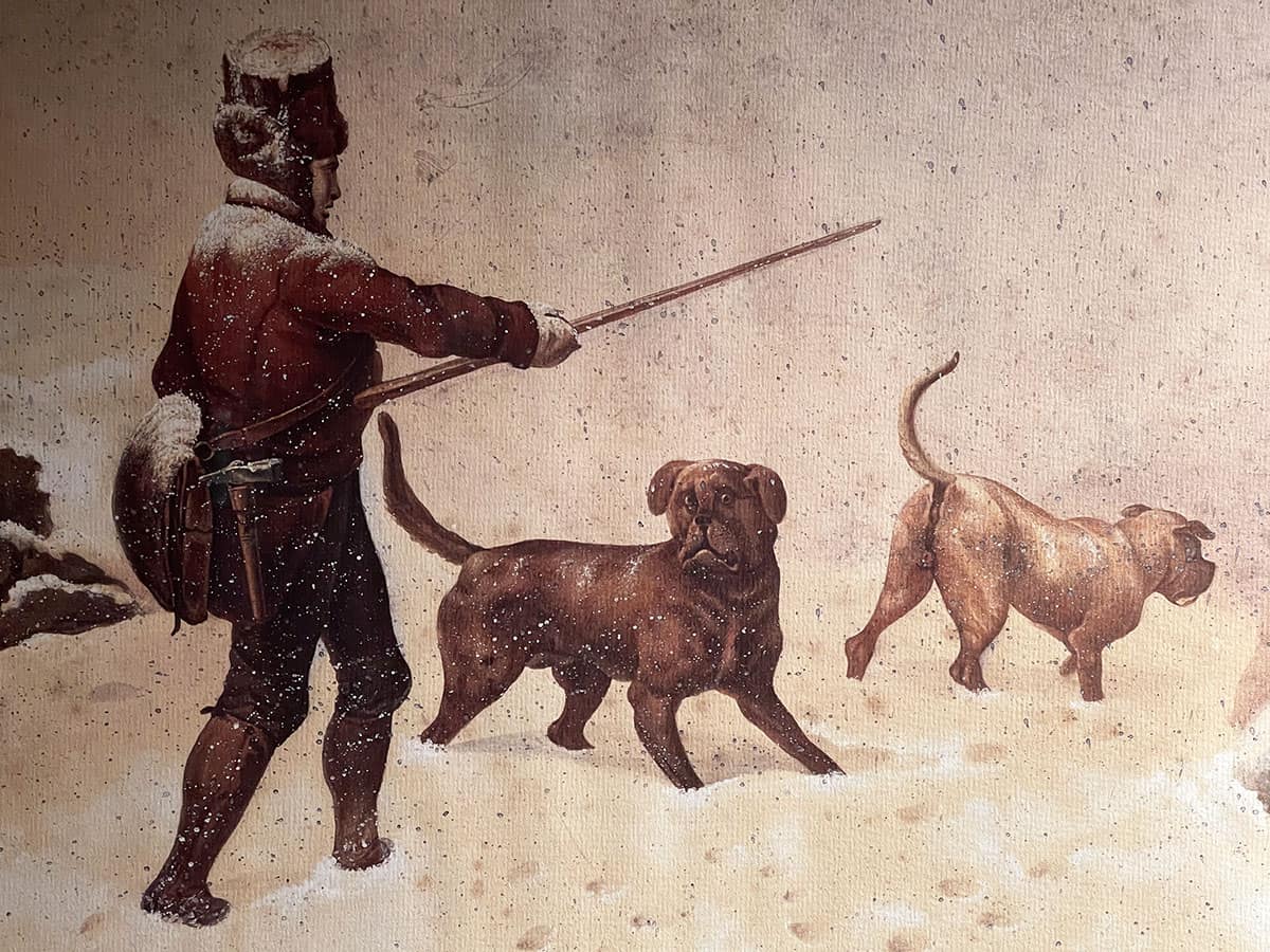 Dove vedere i cani San Bernardo in Svizzera: Barryland a Martigny 6 San Bernardo Storia