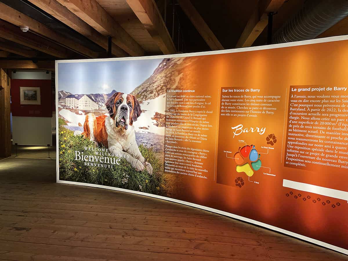 Dove vedere i cani San Bernardo in Svizzera: Barryland a Martigny 14 Martigny museo cane San Bernardo