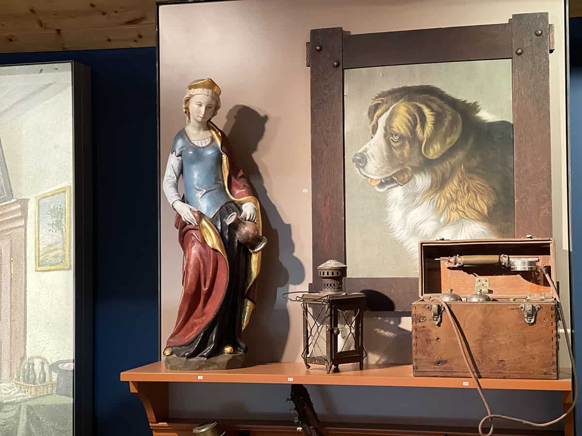 Dove vedere i cani San Bernardo in Svizzera: Barryland a Martigny 16 Dove vedere i cani San Bernardo in Svizzera: Barryland a Martigny 7