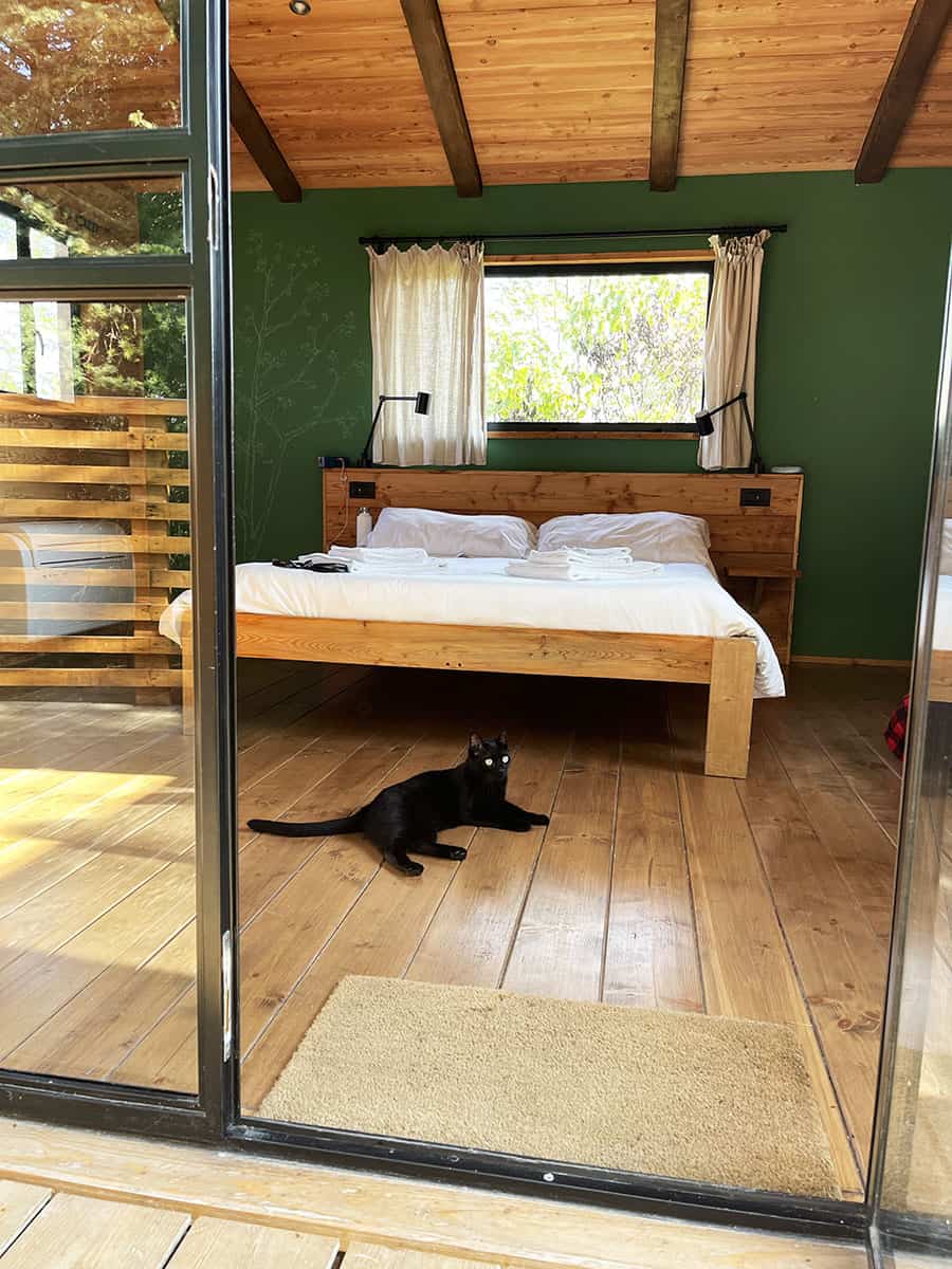 Agriturismo Parco del Grep: glamping nel Monferrato 11 casa sull'albero per famiglie