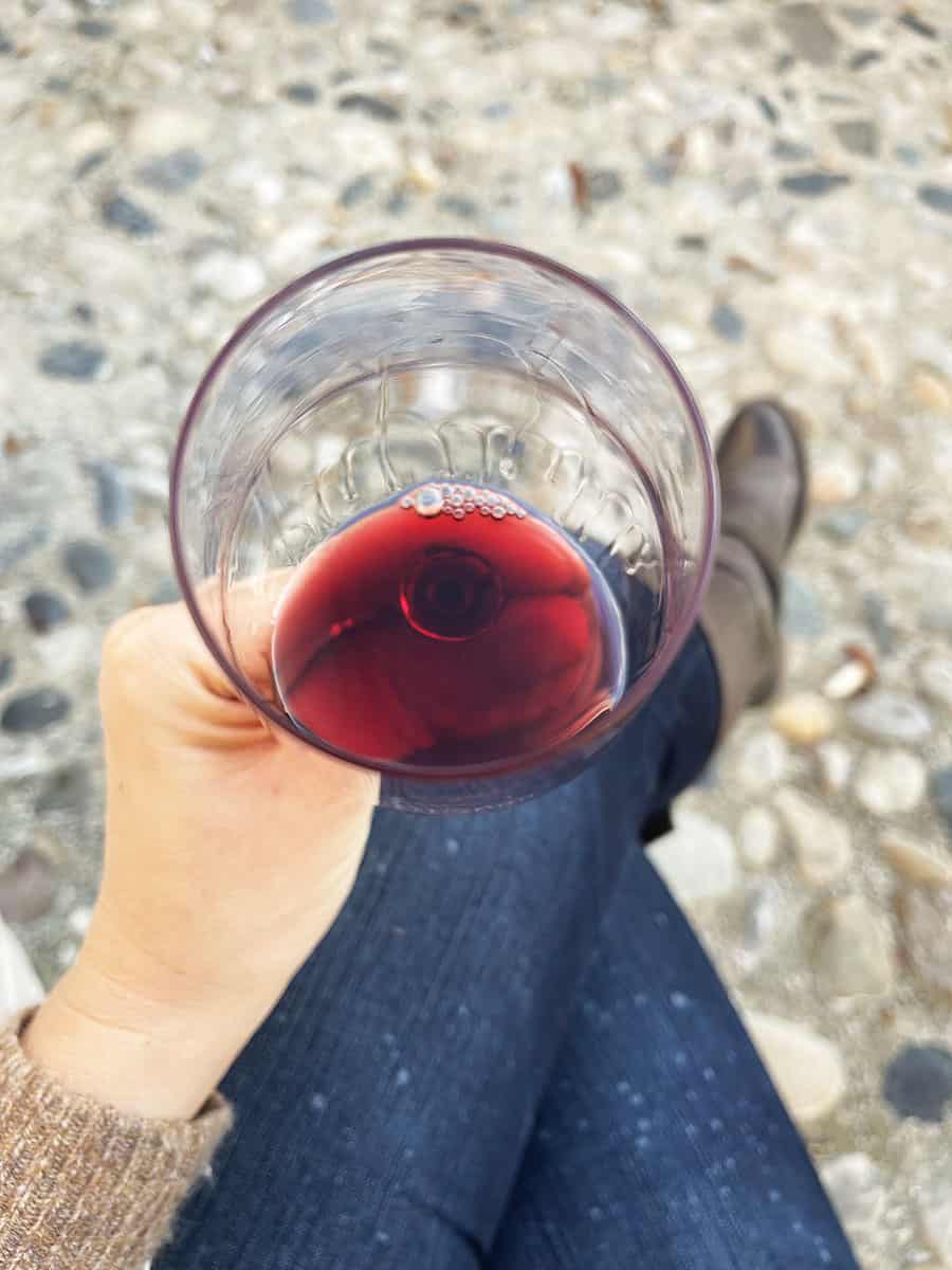 Agriturismo Parco del Grep: glamping nel Monferrato 51 Bicchiere di vino rosso bio piemontese