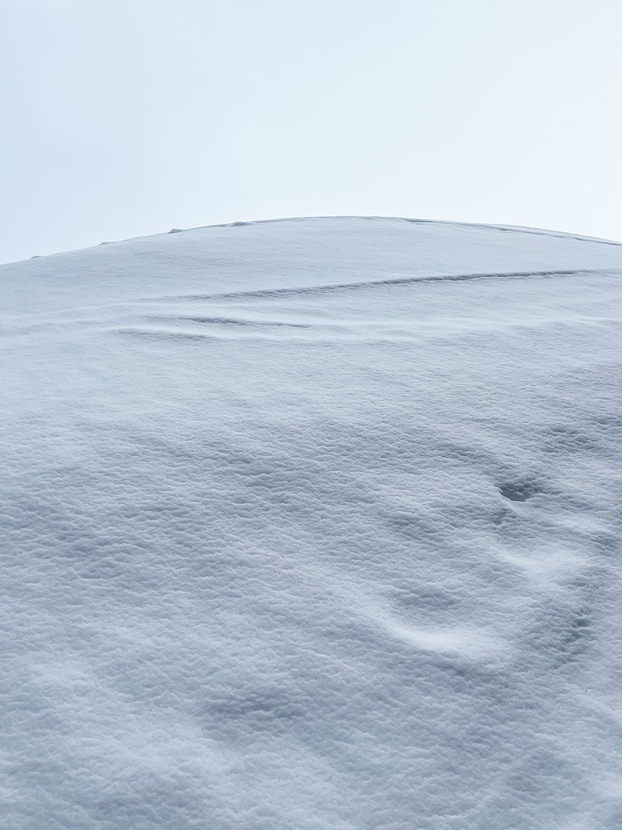 Crans-Montana: escursioni sulla neve con ciaspole e fonduta svizzera 10 Crans-Montana: escursioni sulla neve con ciaspole e fonduta svizzera 2