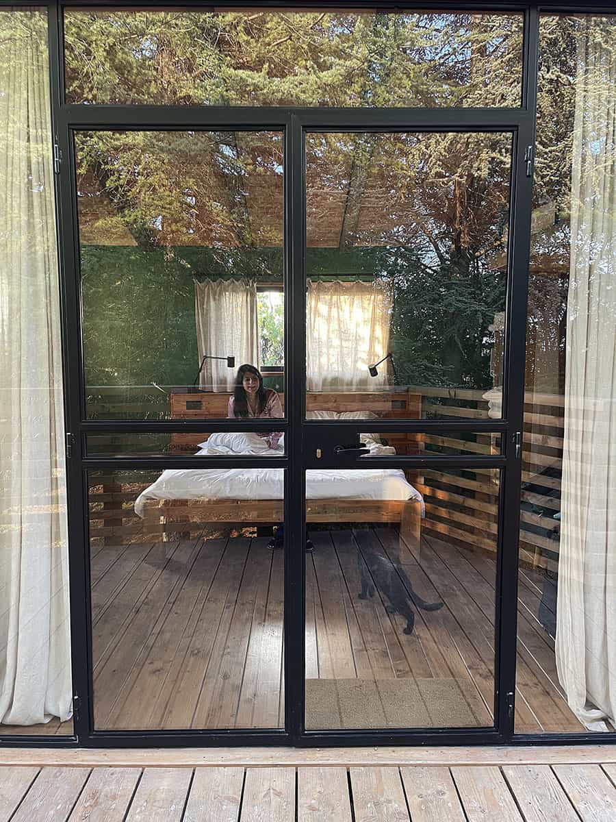 Agriturismo Parco del Grep: glamping nel Monferrato 16 Vetrata casa sull'albero