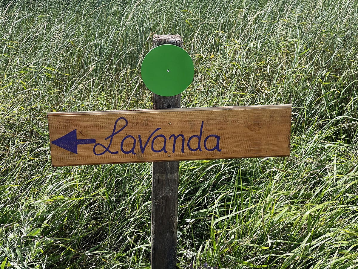 Sale San Giovanni: ammirare i campi di lavanda in Piemonte 14 Cartelli segnaletici percorsi lavanda