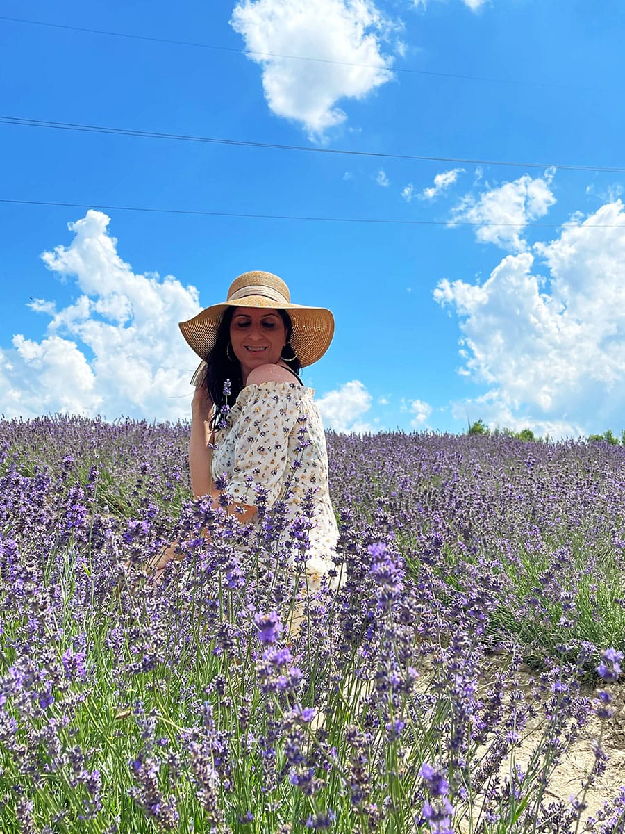 Sale San Giovanni: ammirare i campi di lavanda in Piemonte 16 campi di lavanda Italia