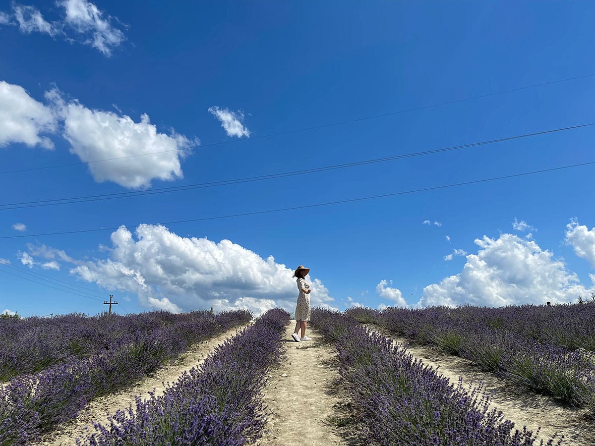 Sale San Giovanni: ammirare i campi di lavanda in Piemonte 20 Camminare tra i campi di lavanda
