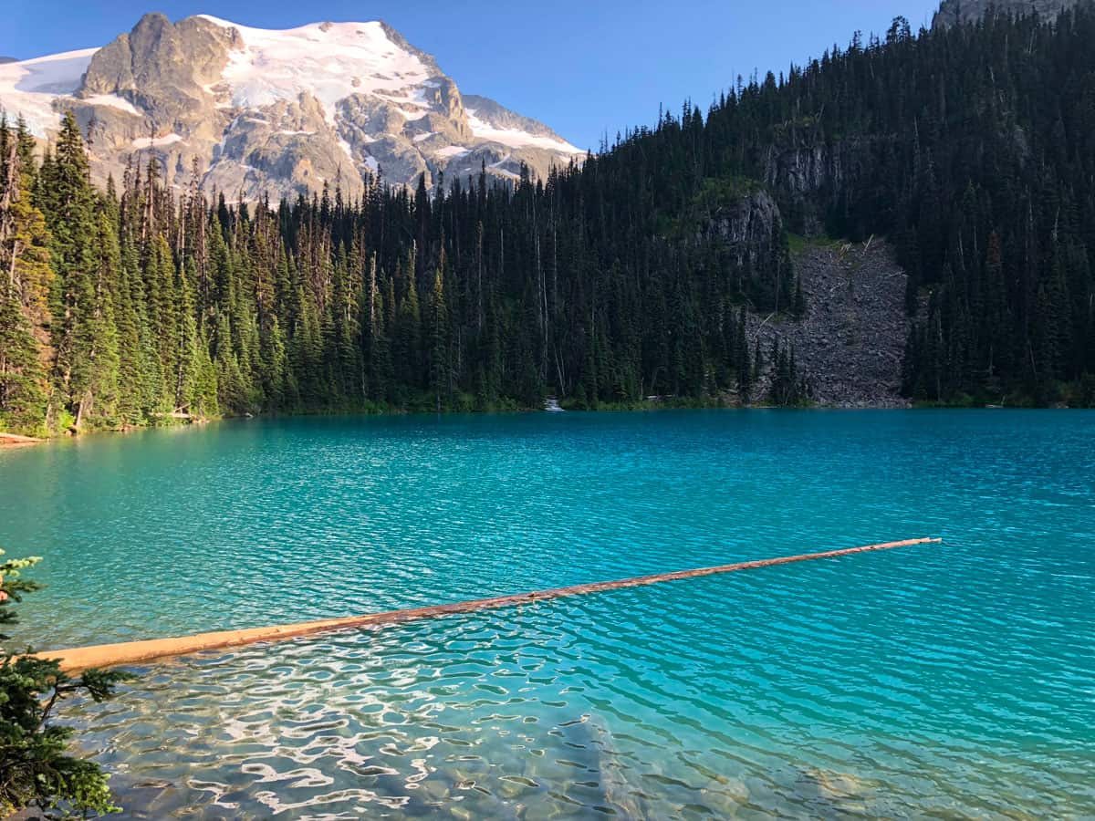 Cosa fare a Whistler, Canada: guida completa 35 Visitare il Joffre Lake Provincial Park