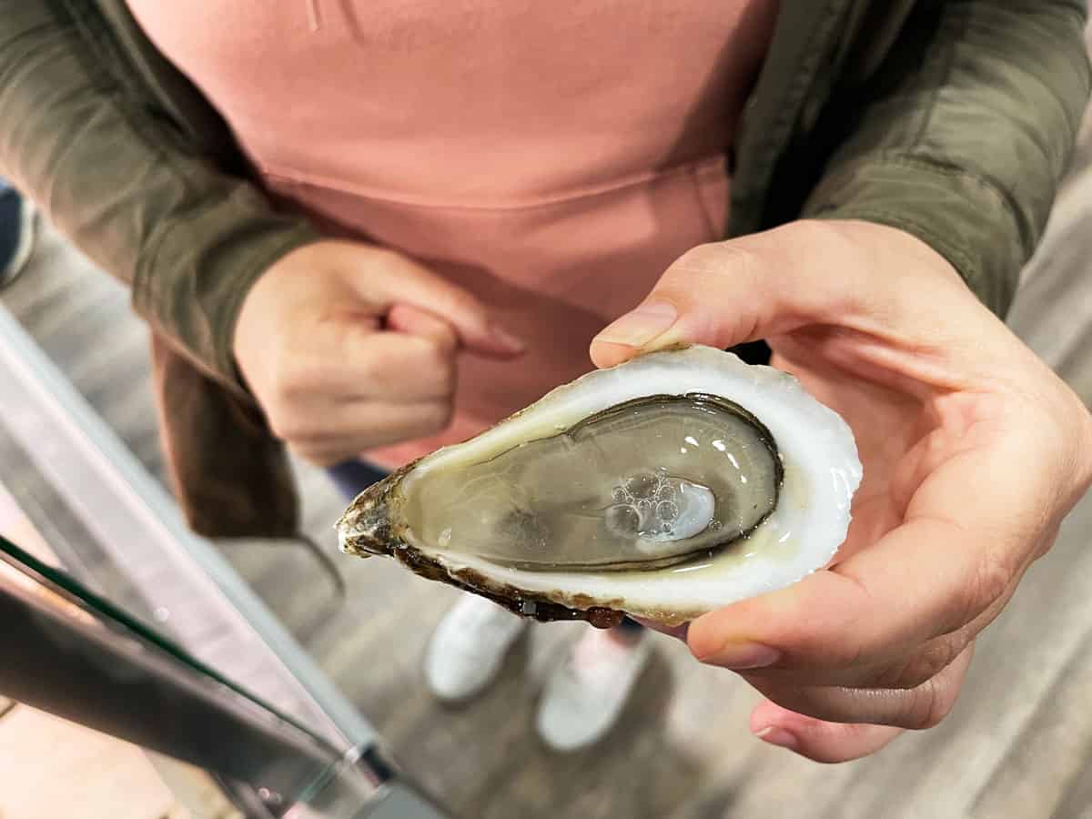 Canada Est o Ovest: qual è la parte più bella? 38 Ostriche in Canada