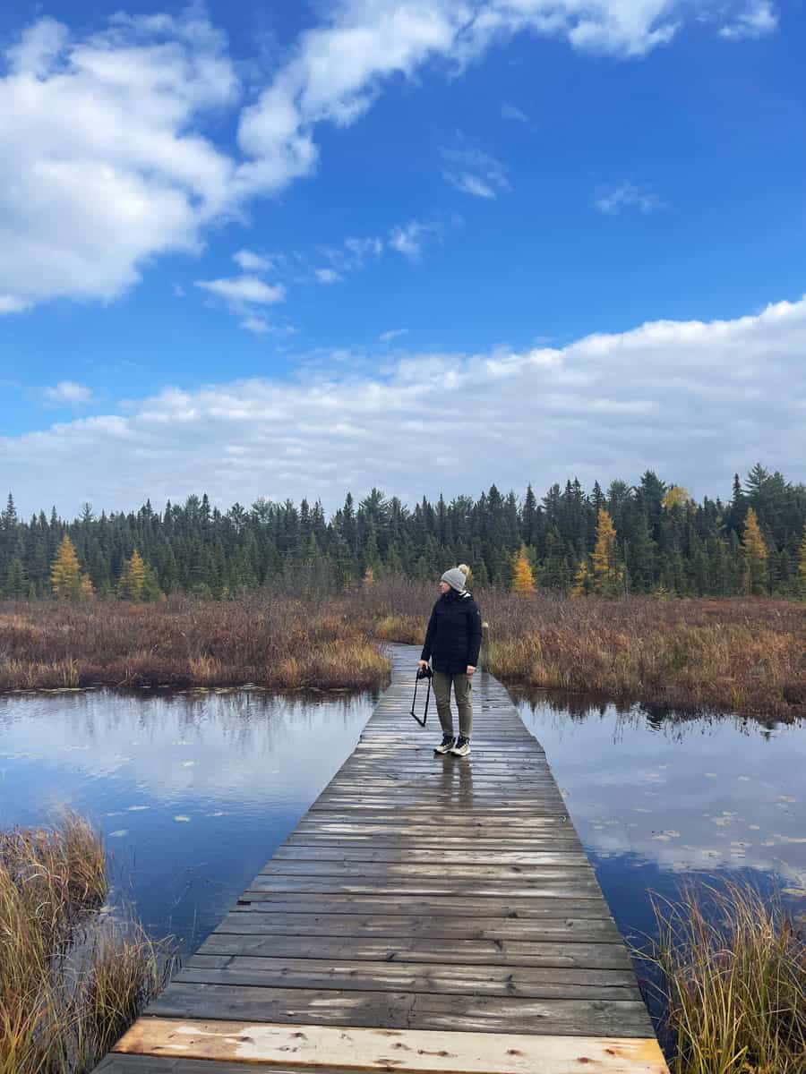Canada Est o Ovest: qual è la parte più bella? 66 Algonquin Park Trail
