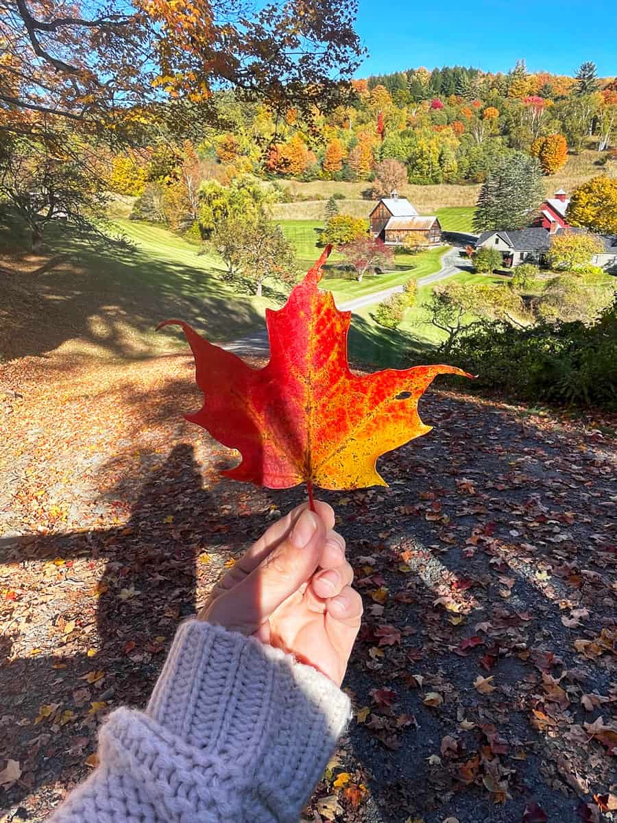 Cosa vedere a Woodstock Vermont 30 Foliage Vermont Sleepy Hollow Farm