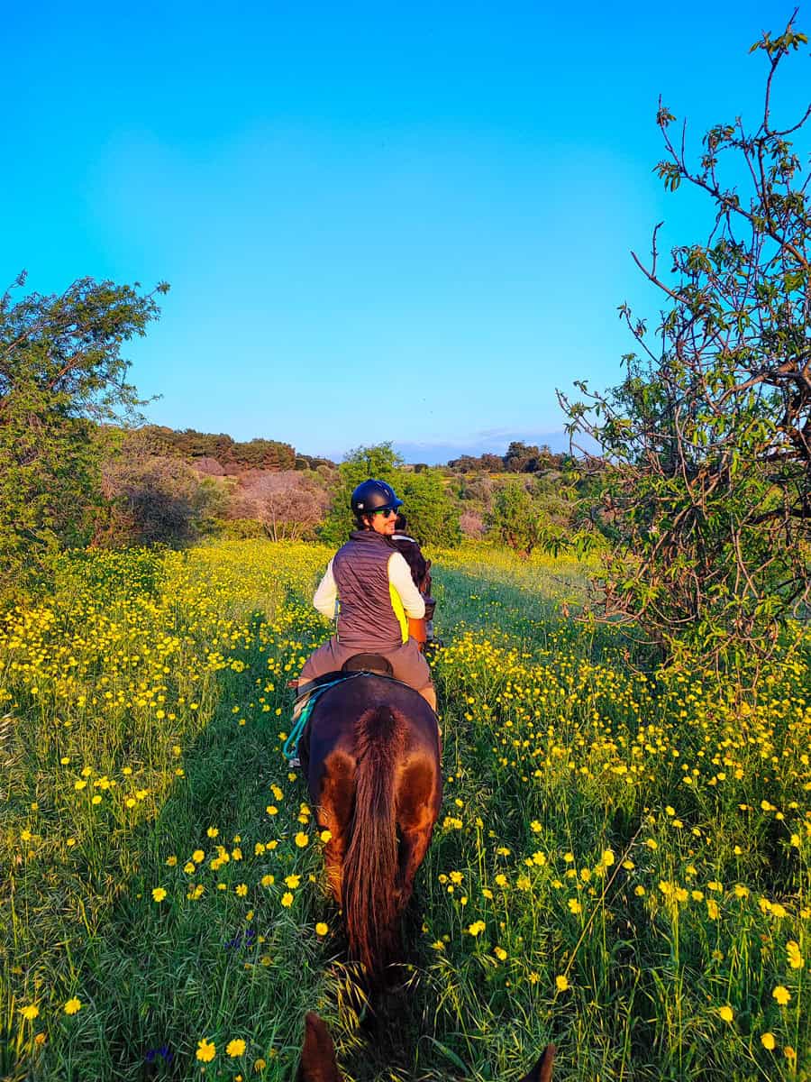 Adler Resort Sicilia: dormire vicino alla valle dei Templi 43 Escursione a cavallo
