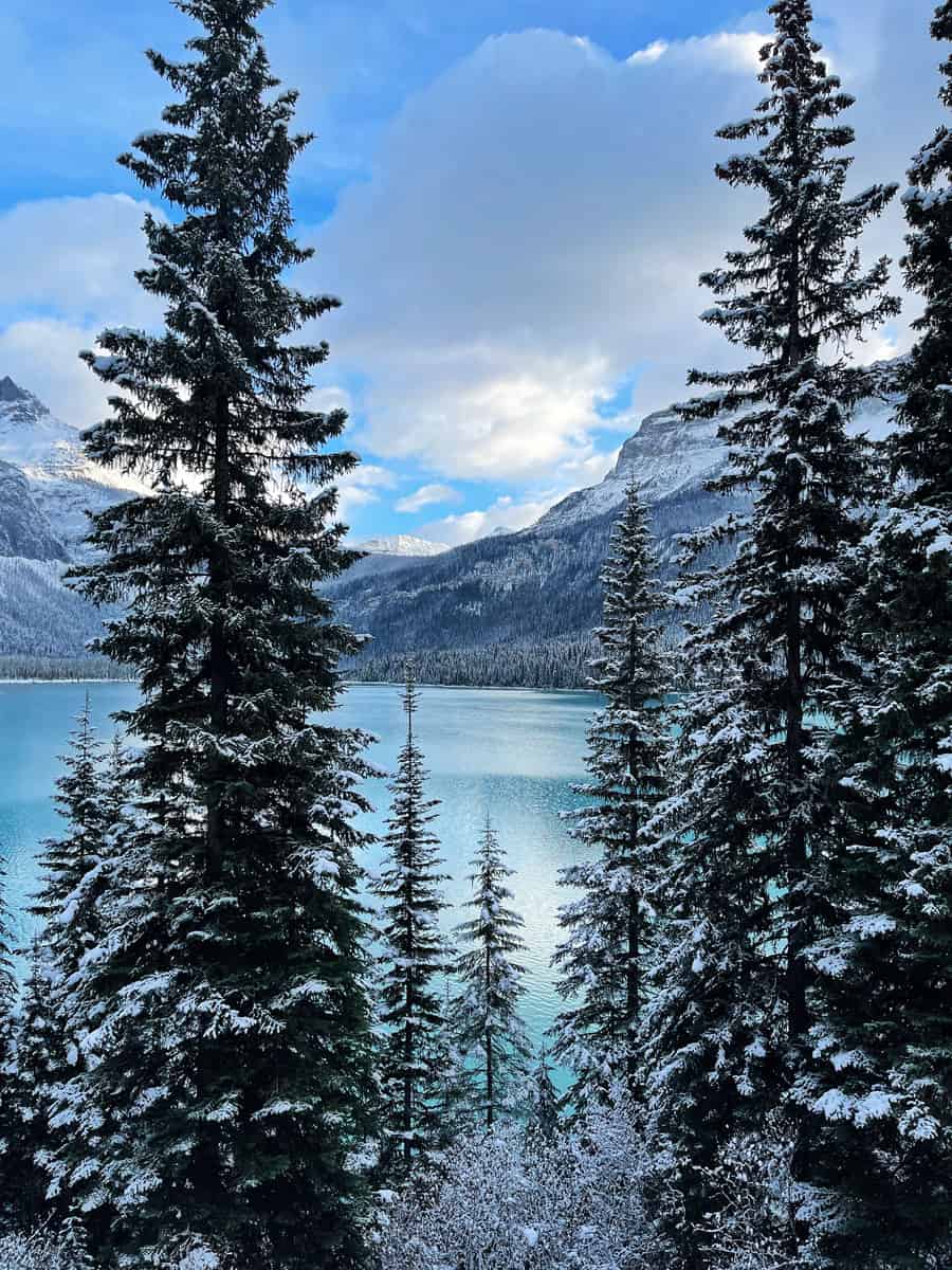 Emerald Lake Lodge: dormire allo Yoho National Park 7 Lago Emerald al mattino