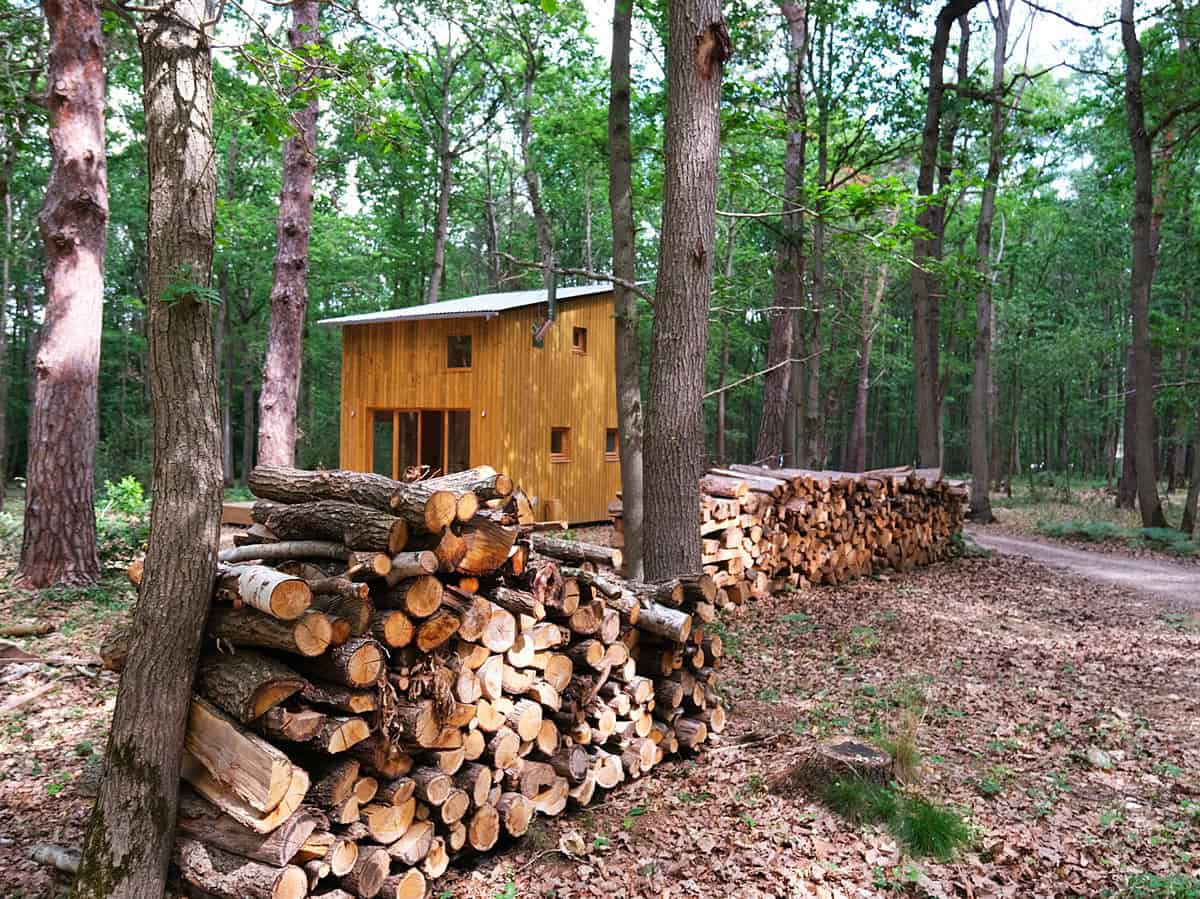 Youza Ecolodge Normandia: dormire vicino Parigi immersi in una foresta 16 Casetta di legno nella foresta dove dormire
