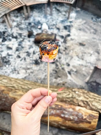 Youza Ecolodge Normandia: dormire vicino Parigi immersi in una foresta 42 Marshmallow sul fuoco